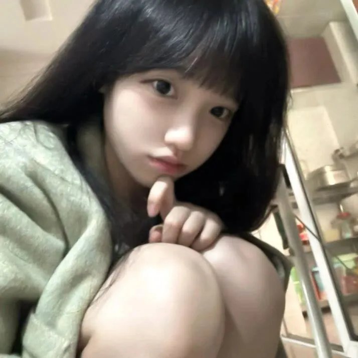 顽皮豹之子